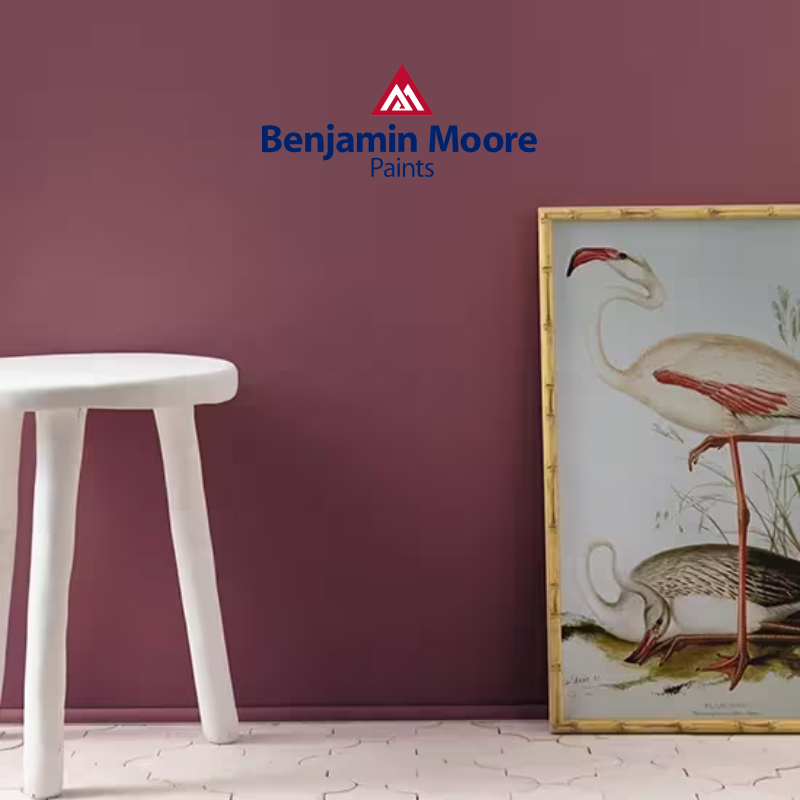 Benjamin Moore Paint-800x800